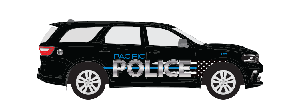 Sleek Silver PD Graphics